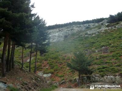 Carro del Diablo - Valle del Lozoya; pinsapar puente de diciembre dias viajes fin de semana